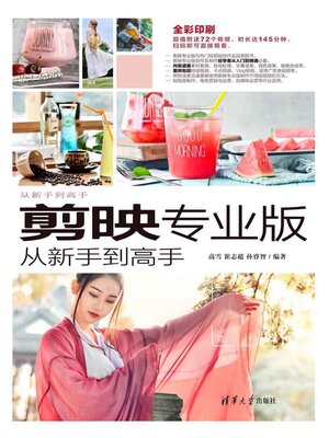 cover image of 剪映专业版从新手到高手
